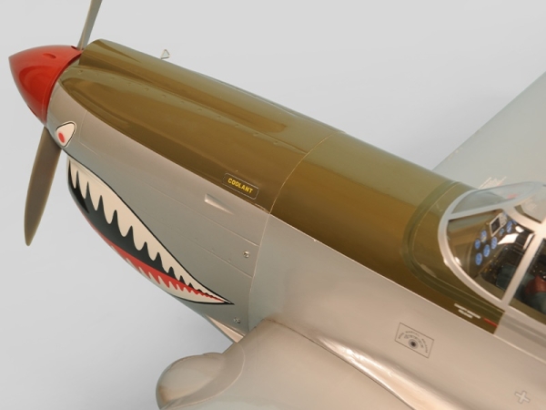 PH137 Phoenix P40 Kitty Warhawk 20CC GP/EP ARF - 161 cm